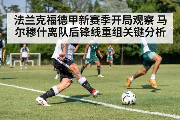 法兰克福德甲新赛季开局观察 马尔穆什离队后锋线重组关键分析